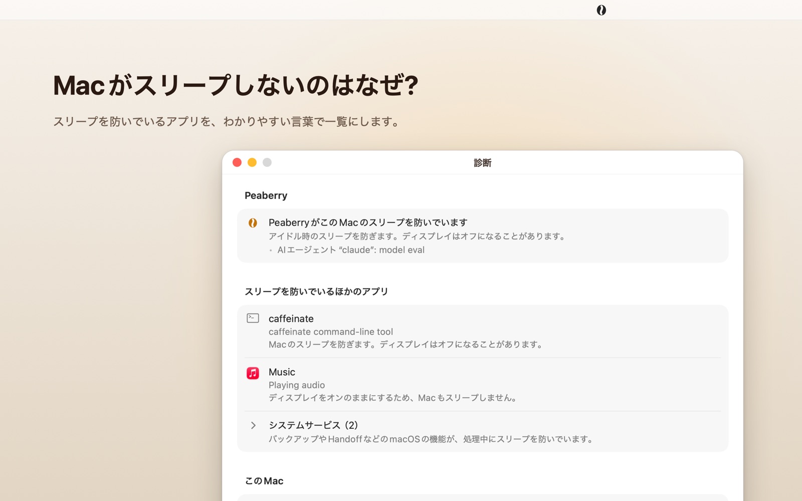 Peaberryの設定の“診断”タブ