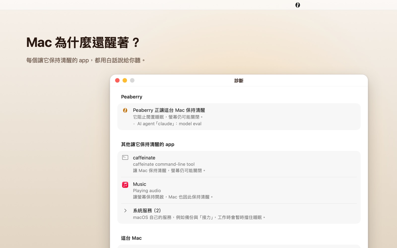 Peaberry 設定裡的「診斷」分頁